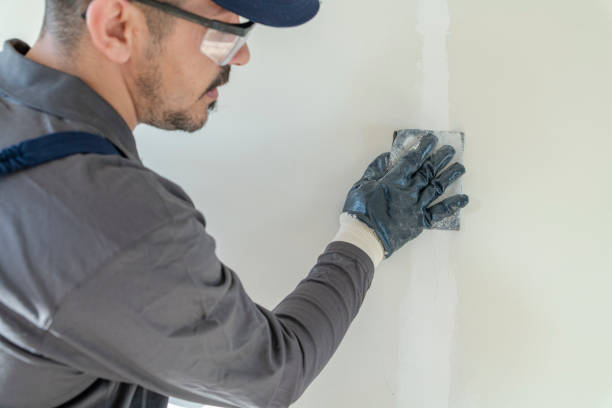 Best Fire-Damaged Drywall Repair  in Kewanee, IL